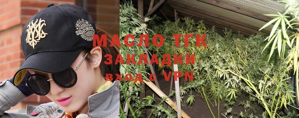 тгк Дмитров